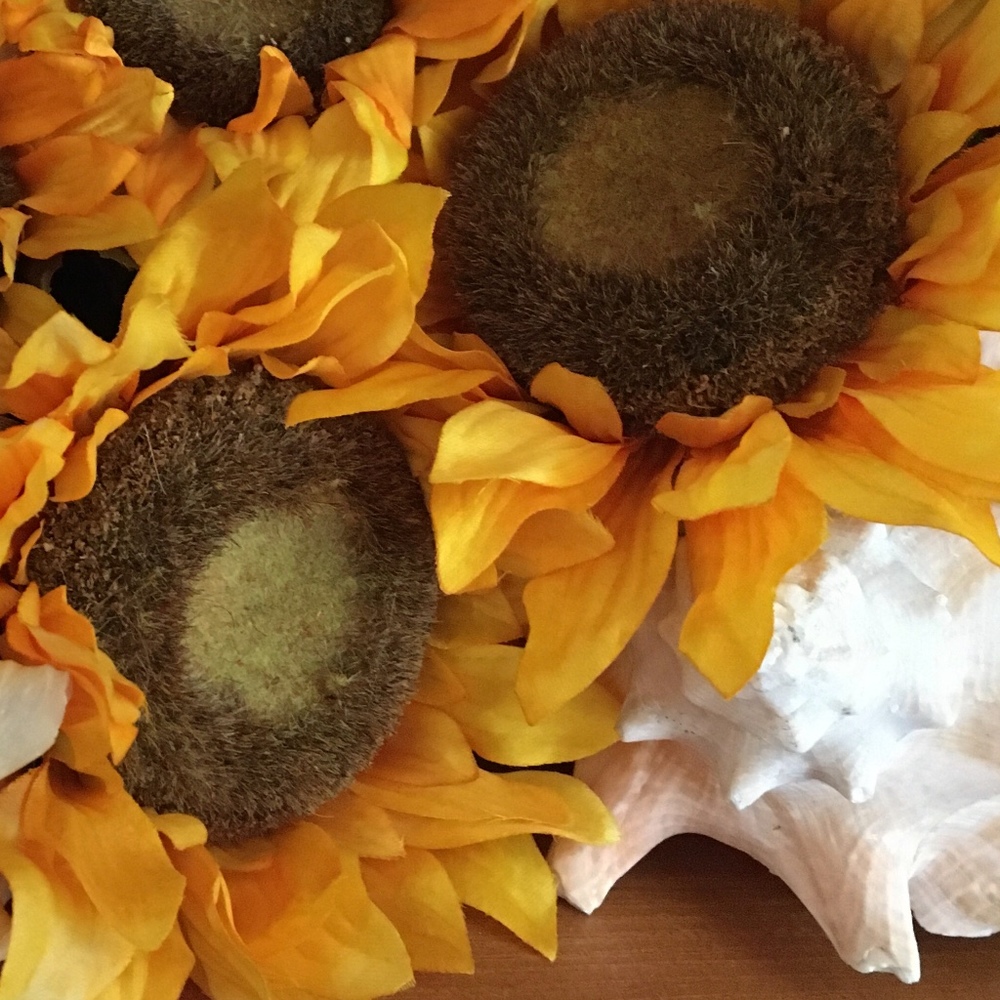 Meet your Posher, Sunflowers and